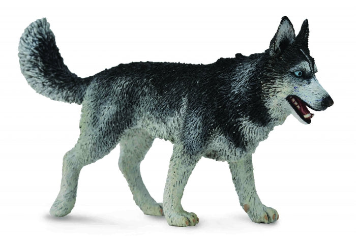 CollectA Dogs - Siberian Husky