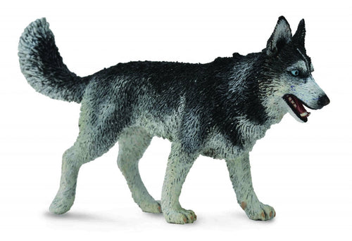 CollectA Dogs - Siberian Husky
