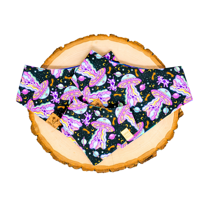 Cow Abduction (December Monthly Mystery) - Bandana