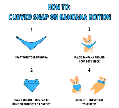 Cow Abduction (December Monthly Mystery) - Bandana