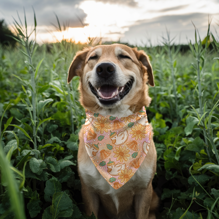 Daisy Ducks - Bandana