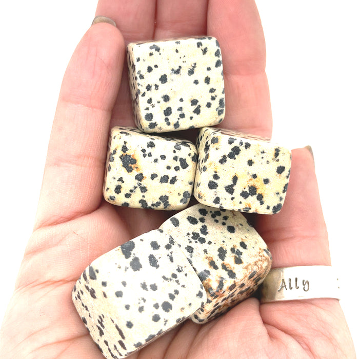 A hand holding multiple cube-shaped Dalmation Jasper stones with a speckled pattern on a white background, front view.