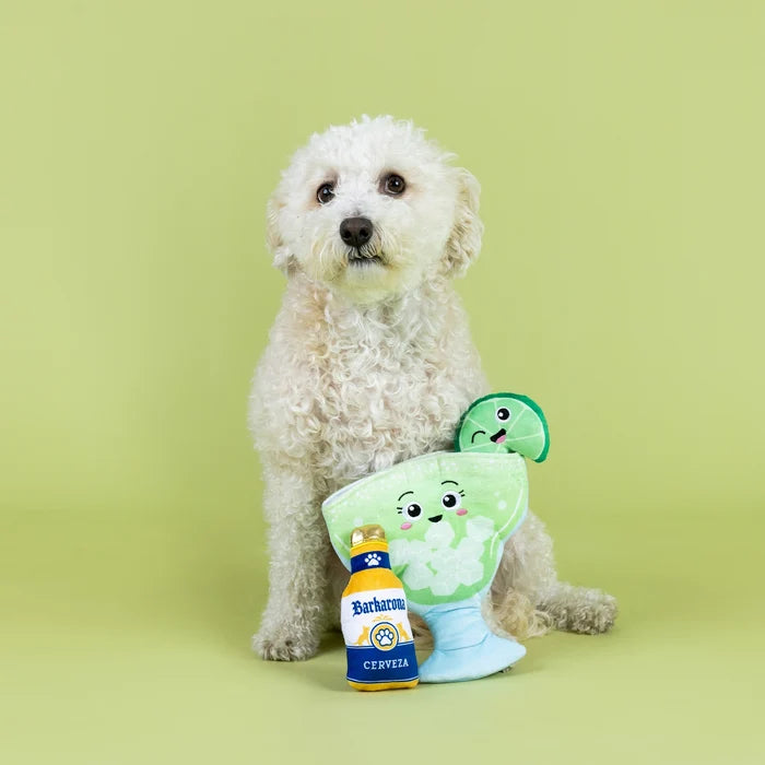 Drop Me A Lime Hide and Seek Dog Toy
