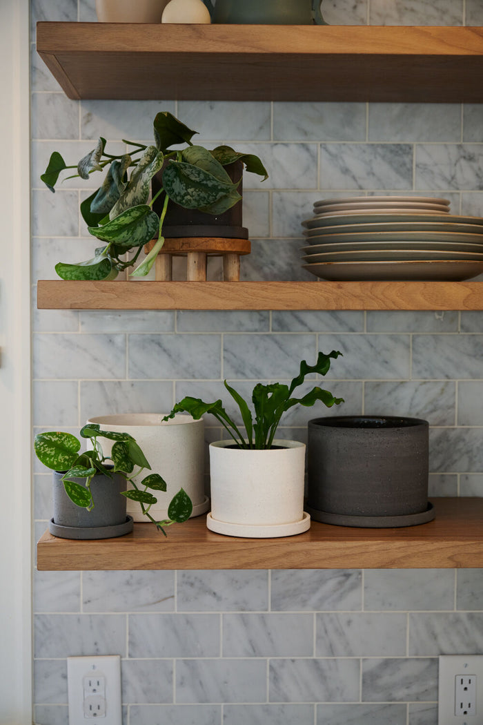 Easton Planter