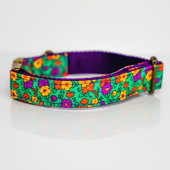 Emerald Fields Eco Canvas Dog Collar