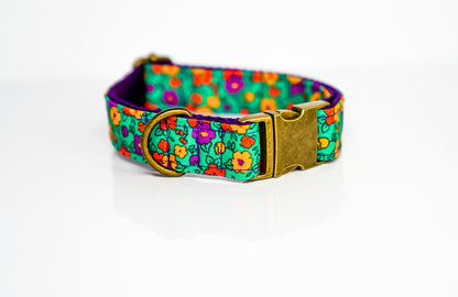 Emerald Fields Eco Canvas Dog Collar