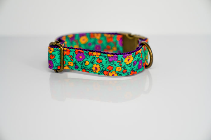 Emerald Fields Eco Canvas Dog Collar