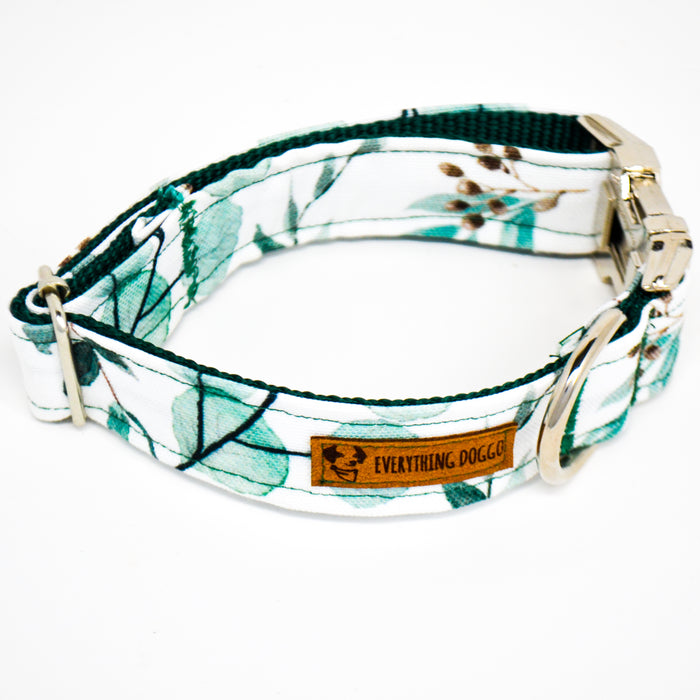 Eucalyptus Eco Canvas Dog Collar