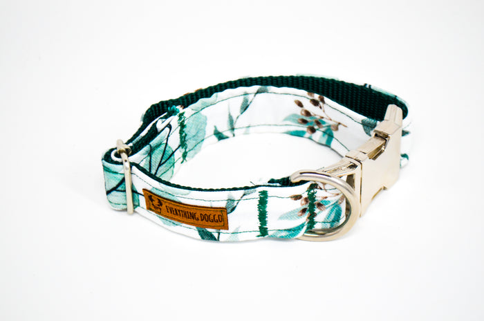 Eucalyptus Eco Canvas Dog Collar