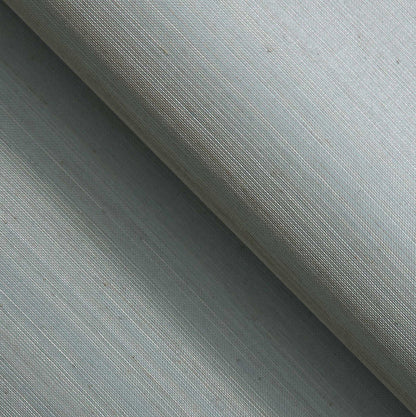 #color_pale-aqua-sky