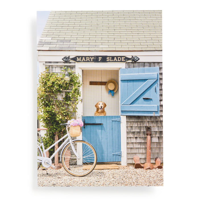 A golden retriever peers over a half-door of a charming gray cottage in this Nantucket scene featured on the Gray Malin Nantucket 1000 Piece Book Box Puzzle by Gray Malin, complete with blue shutters, a flower-filled bicycle, and Mary F Slade sign.