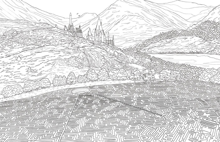 Harry Potter: Hufflepuff House Pride: The Official Coloring Book