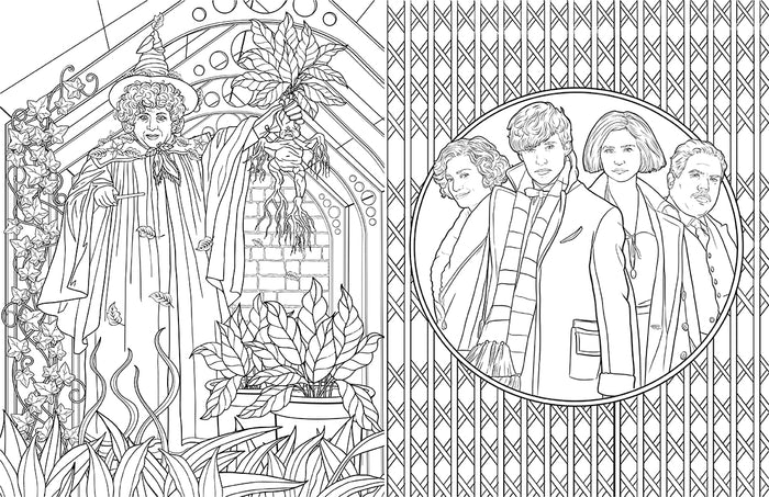 Harry Potter: Hufflepuff House Pride: The Official Coloring Book