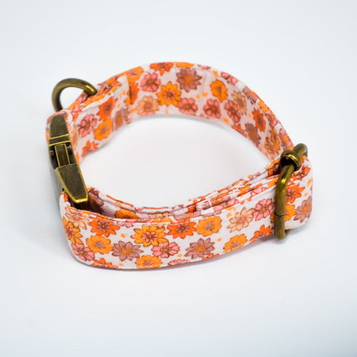 Harvest Bloom Cotton Dog Collar