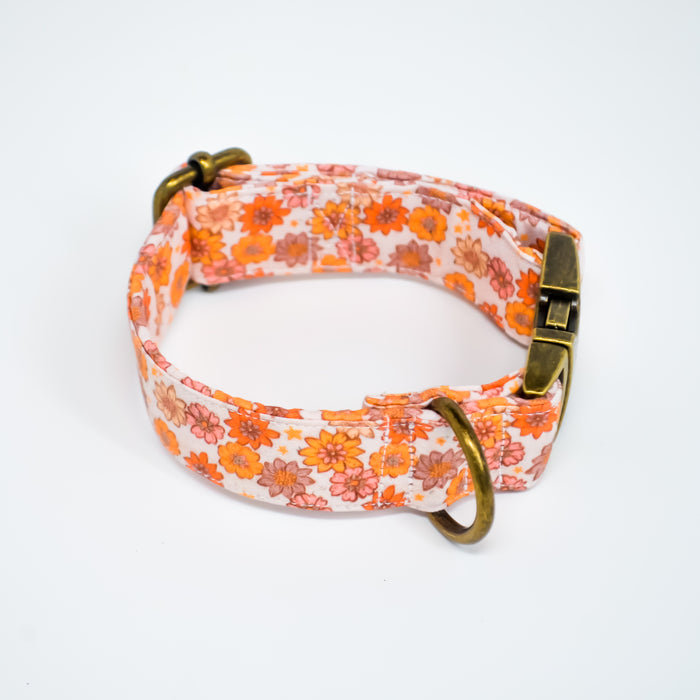 Harvest Bloom Cotton Dog Collar