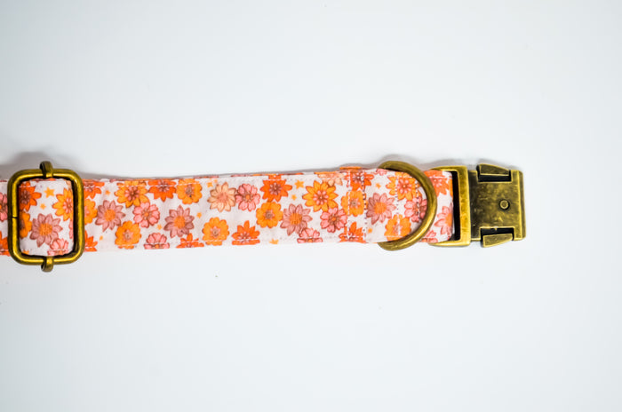 Harvest Bloom Cotton Dog Collar