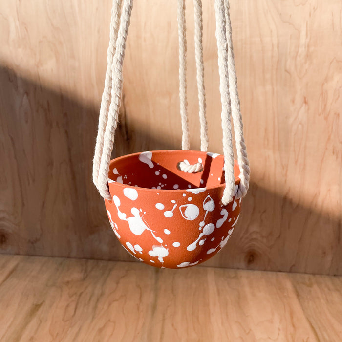 High Desert Hanging Planter - Splatter