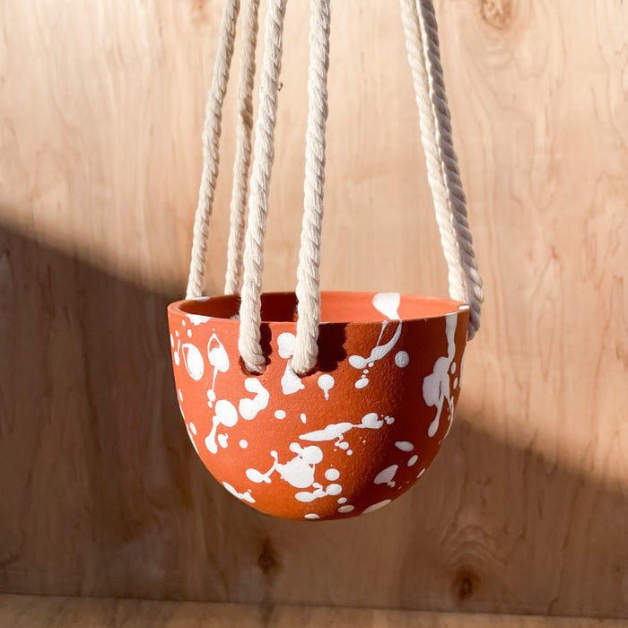 High Desert Hanging Planter - Splatter