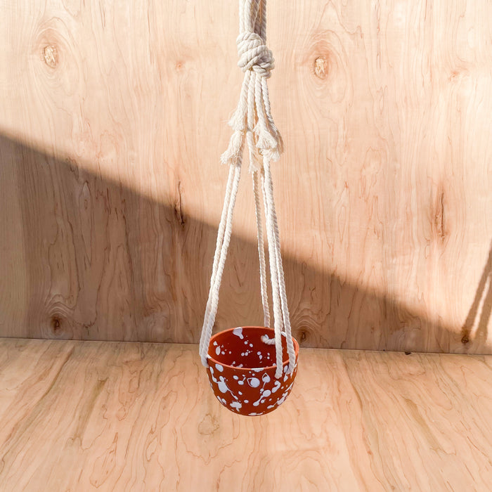 High Desert Hanging Planter - Splatter