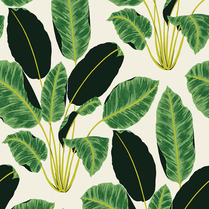 A swatch of Tempaper's hojas cubanas removable wallpaper with rich emerald leaves on a tan background.