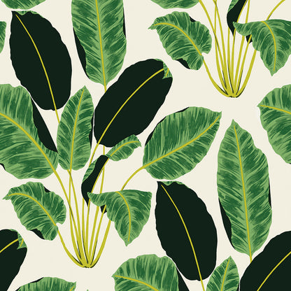 A swatch of Tempaper's hojas cubanas removable wallpaper with rich emerald leaves on a tan background.