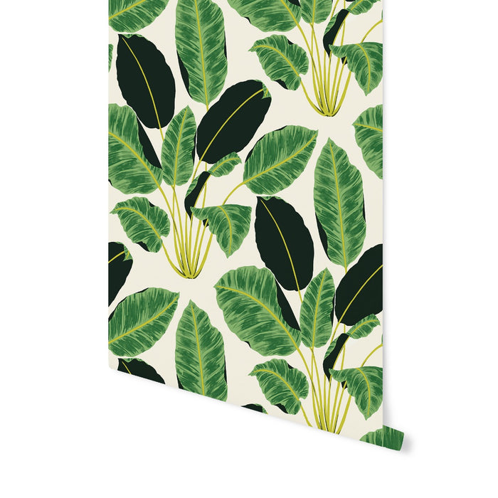 A roll of Tempaper's emerald Hojas Cubanas removable wallpaper rolling down a white wall.