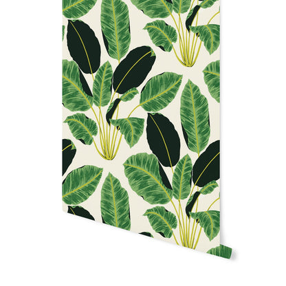 A roll of Tempaper's emerald Hojas Cubanas removable wallpaper rolling down a white wall.