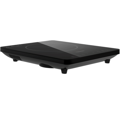 IC-20R1TSG INDUCTION COOKER