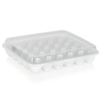 Irak Plastics Egg Holder