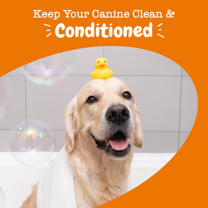 Light-colored dog with yellow rubber duck toy on head in bathroom setting with soap bubbles.