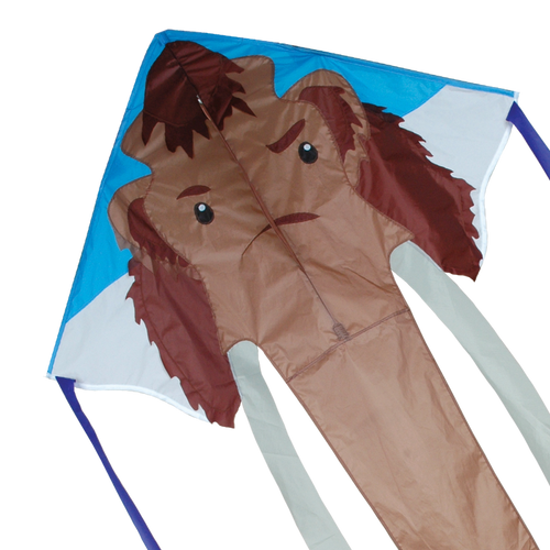 Large Easy Flyer Kite - Woolly