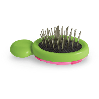 Little Ladybug Brush