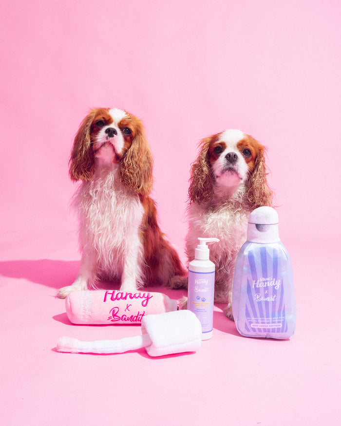 Master Pack Bandit : Shampoing + Peluches