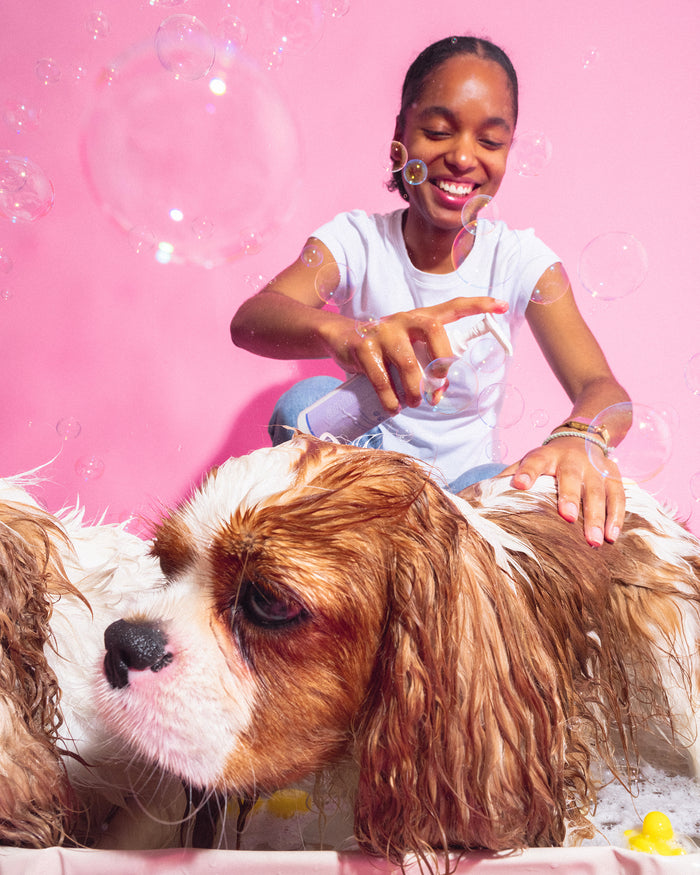 Master Pack Bandit : Shampoing + Peluches