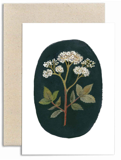 Meadow Sweet Card