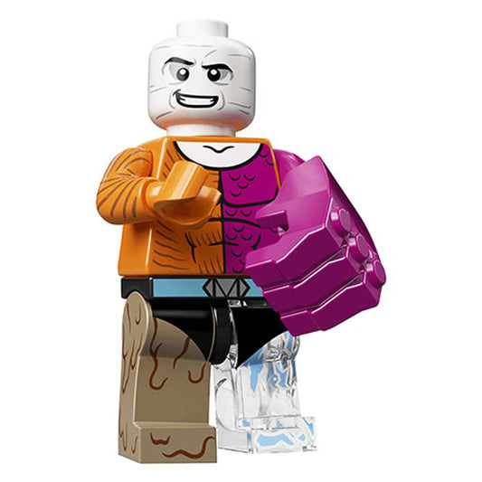 Metamorpho – DC Super Heroes Lego Minifigure