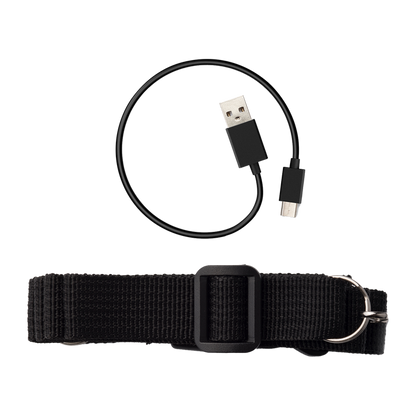 MF5P Portable Voice Amplifier