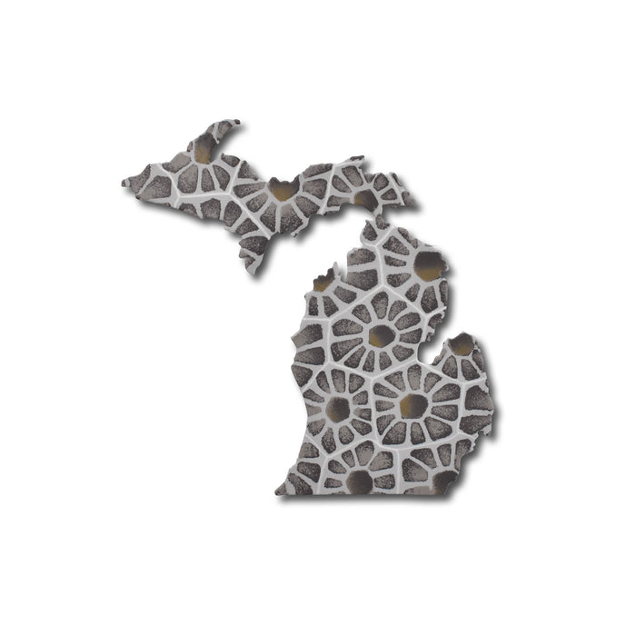 Michigan Petoskey Magnet