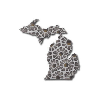Michigan Petoskey Magnet