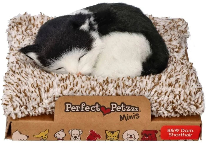 Mini Perfect Pet Black/White Cat Shortha