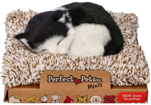 Mini Perfect Pet Black/White Cat Shortha