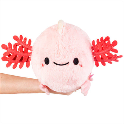 Axolotl