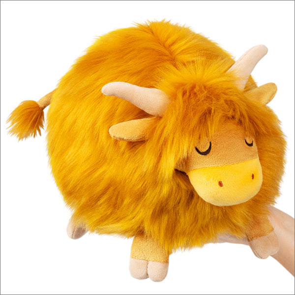 Highland Cow