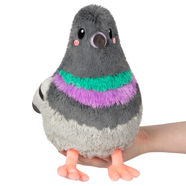 Pigeon