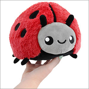 Ladybug