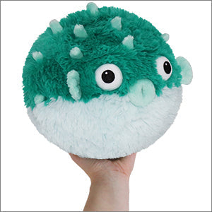 Puffer Fish