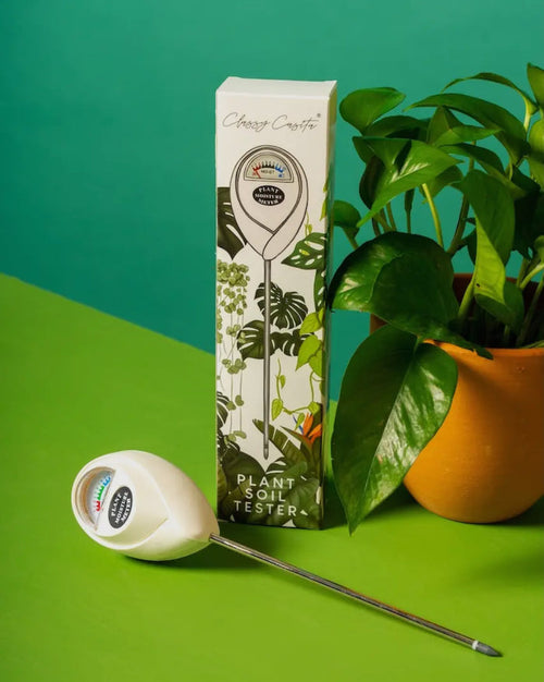 Moisture Meter