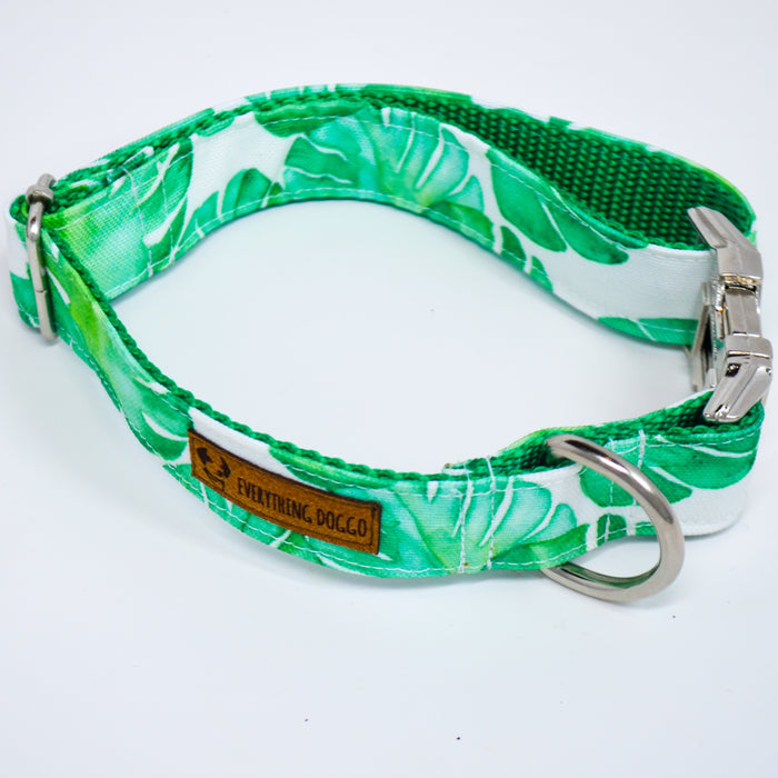 Monstera Eco Canvas Dog Collar