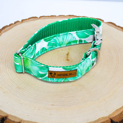 Monstera Eco Canvas Dog Collar