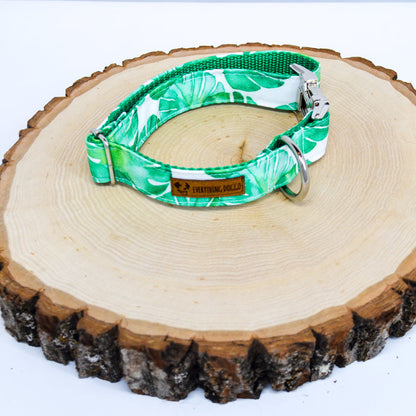 Monstera Eco Canvas Dog Collar